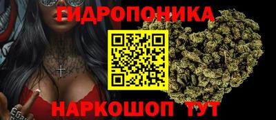 СК Краснознаменск